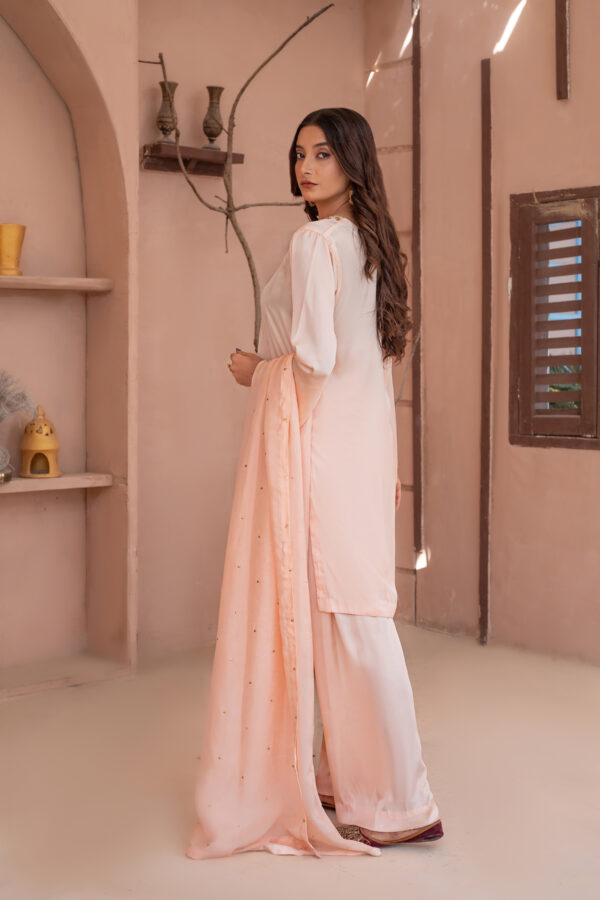 3 Piece Embroidered Silk